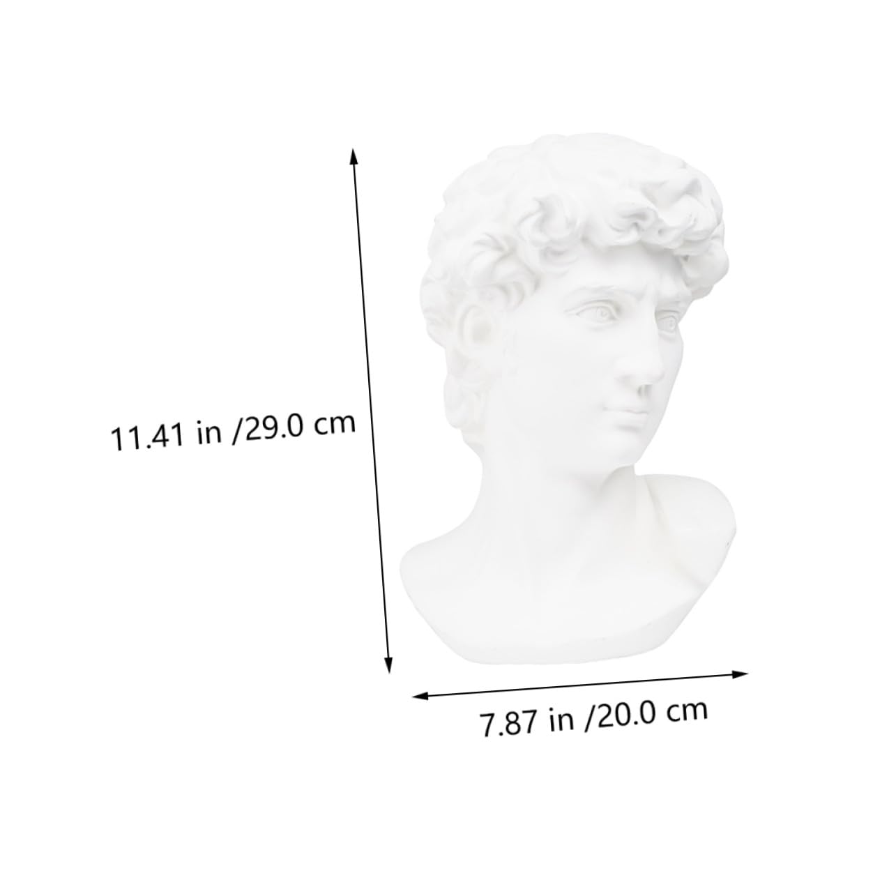 Gatuida Buste de David en Résine Blanche – Statue Tête David Classique – Sculpture Décorative et Outil Pédagogique pour Dessin et Décoration Intérieure Maison Bureau