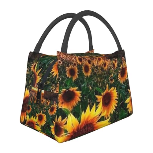 Ђ܂10 `obO ٓ e y ۗ ۉ 􂦂  sNjbNp d [ ʋ ʊw fMobO ܂肽 VbsOobO RrjobO  N[[obO lp jp p qp