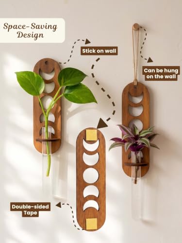 Image of Bombay Greens Wall Hanging Moon & Lunar Phase Planter with Wooden Holder & Rope | Test Tube Hanging Planter | Wooden Stand for Home Decor, Living Room, Balcony & Office Decoration