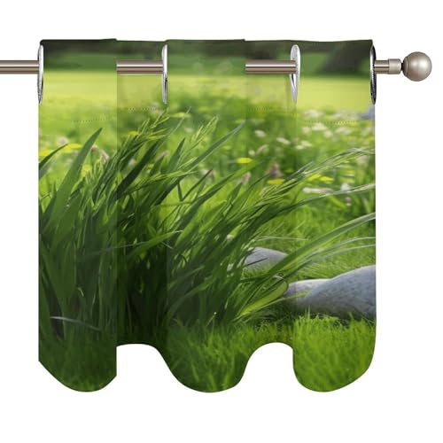 Cenefa opaca verde primavera que bloquea la luz en ventanas de baño y cocina 6