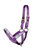 Perri's Mini Nylon Cow Halter