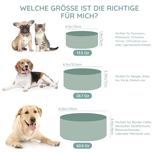 SPUNKYJUNKY Keramik Hundenapf Fressnapf Futternapf Katzennapf Napf für Katzen und Hunde (1800ml, Hellgrün)