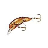 Rebel Middle Wee Crawfish wie alle anderen Rebel Crawfish