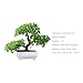 Talent Star Artificial Bonsai Tree Juniper Faux Plants Indoor Small Fake Plants Decor with Pots for Home Table Office Desk Bathroom Shelf Bedroom Living Room Farmhouse Decorations Wedding Tabletop Gr