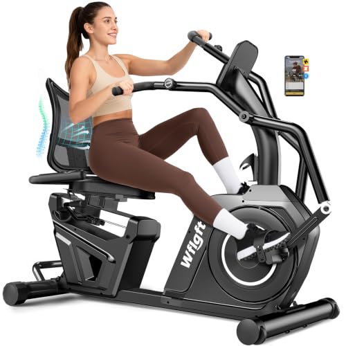 WFLGFT Recumbent Exercise Bike