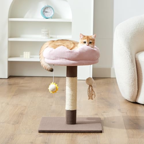 Gardner Pet 20" Cat Tree Corduroy, Solid Wood Small Cat Tree, Compact Cat Tower Perch for Kittens & Indoor Cats(Brown, Circle-Corduroy)