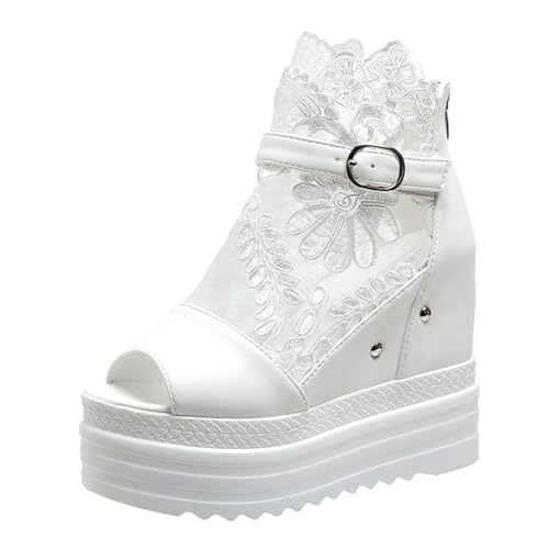 [ikeem] T_ 14cmX[p[nCq[ X[vq[ V[gu[c y  Vv rfB[X I[vgD obOWbp[ EGbW\[ 5.5cmh ₷  ėp 22.5cm-25cm ([X/