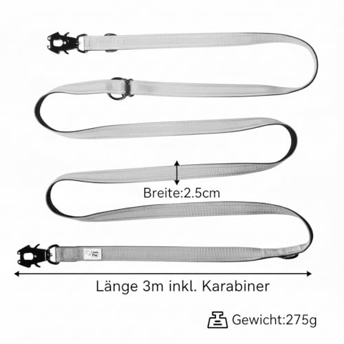 Lina Pet Hundeleine 3m x 2,5 cm, Reflektierend – Verstellbare Doppelleine aus Nylon mit Aluminium-Karabiner, Führleine für große und mittelgroße Hunde