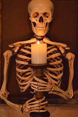 Framed 3D Life-Size Skeleton Torso Holding Flameless Candle