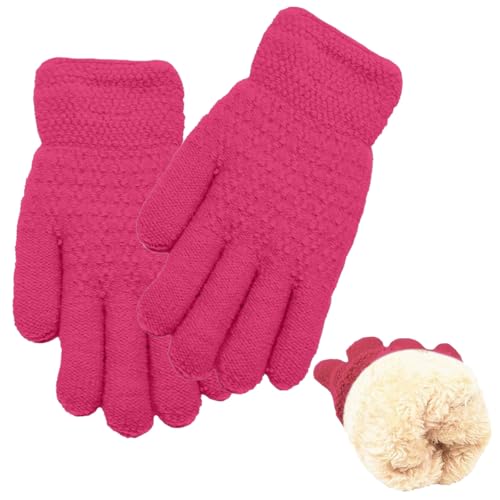 [QINTIAN] LbY q jbg O[u j̎q ̎q ~ 5{w  5-10   h ۉ w ʉ ʊw ] o qp jp ([Ybh)