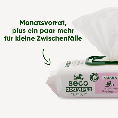 Beco Bambus Hundetücher - Plastikfrei 80 Tücher, Kokosnuss-Duft, Für Pfoten, Körper und Po, Pflanzliche Pflegetücher