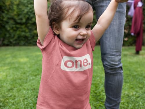 First Birthday Outfit Girl 1st Birthday Girl Shirt one Year Old Baby Girls Gifts4