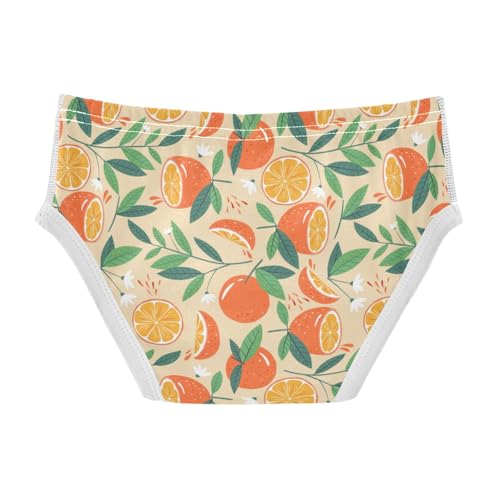 Boys' Exclusive Briefs Toddler Underwear 95% Combed Cotton Boxerbriefs 2T Orange Slices and Leaf Pattern 182