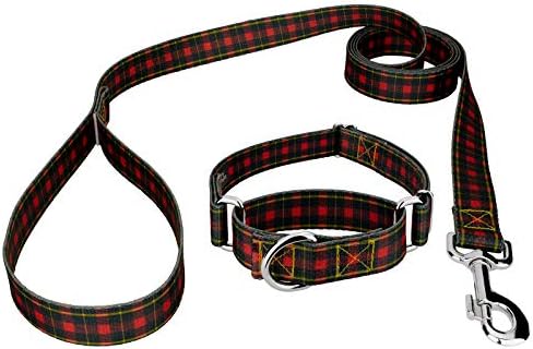 Country Brook Petz - Buffalo Plaid Martingale Dog Collar and Leash - Plaid and Argyle Collection with 9 Charming Designs (1 Inch, Medium)