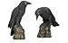Design Toscano Mystic Night Raven Statues