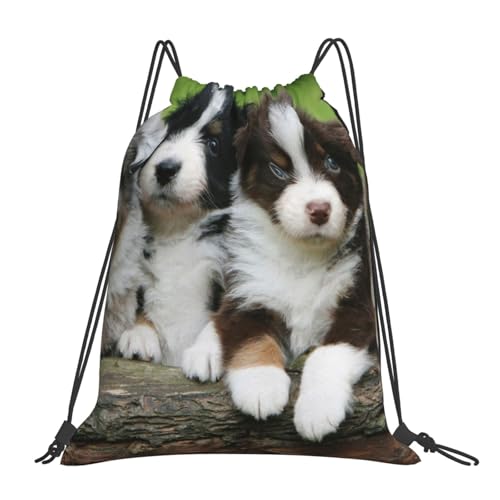 BYwenhopnbs Australian Shepherd Kleine Welpen Quartett Kordelzug-Rucksack, Sport- und Gymnastiksack, wasserabweisend, für Damen und Herren BYwenhopnbs Australian Shepherd Kleine Welpen Quartett Kordelzug-Rucksack, Sport- und Gymnastiksack, wasserabweisend, für Damen und Herren