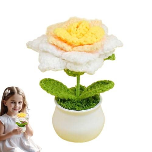Genérico Flores De Ganchillo   Rosas De Punto A Mano De 12 Cm, En Maceta De Color Gradiente, Decoraciones Florales De Suave, Acentos Artesanales | Conjunto Floral Decorativo De Oficina En Domici