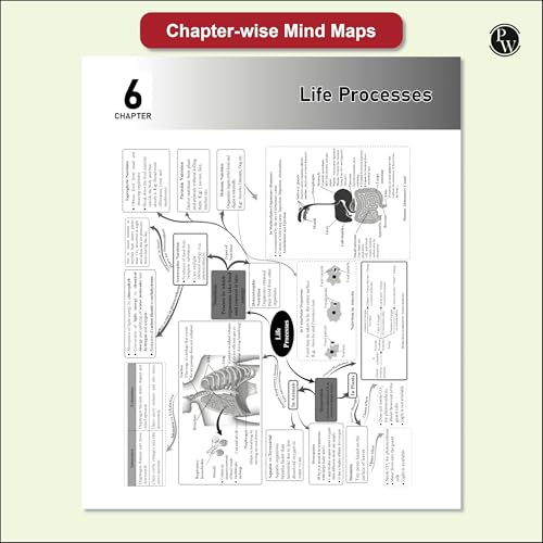 Image of PW CBSE Class 10 NCERT Exemplar Problems Mathematics and Science with Text & Video Solutions | Chapterwise Mind Maps | PYQ Tagging | Rationalised NCERT Syllabus [Paperback] PW