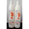 Biotera Anti-Frizz Intense Smoothing Shampoo & Conditioner (15.2 Ounce)