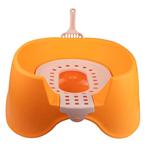 Banheiro de Areia para Gatos