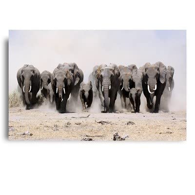 Peinture diamant éléphant grand format pour libérer votre créativité chez vous