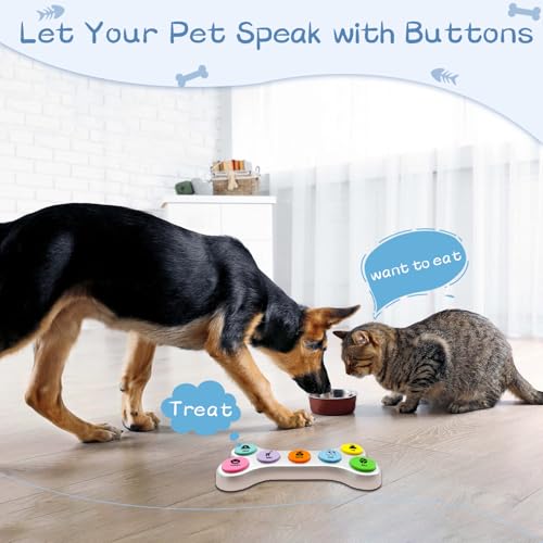 Dog Using Communication Buttons