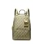 Gold-tone Hardware/Tonal Mk Signature Nylon/Pistachio