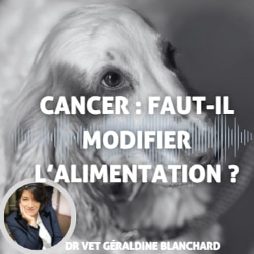 Mon chien souffre d'un cancer, faut-il modifier son alimentation ?