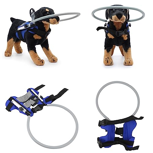 Arnês para cães cegos dispositivo de guia, anel anticolisão para cães cegos halo para animais de est