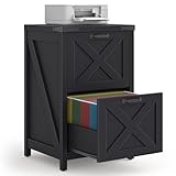 Halitaa 2 Drawer Small File Cabinet, Farmhouse Vertical Filing Cabinet Fits Letter and A4 Size, Under Desk Wooden File Cabinets for Home Office, Printer Stand, Black