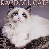 Ragdoll Cats 2019 Wall Calendar