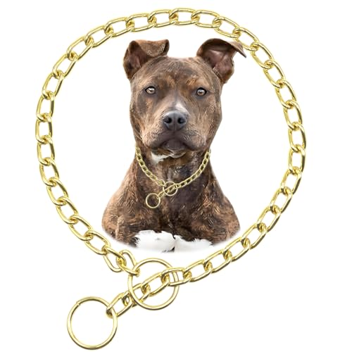 Collar de cadena dorado para perro, collar de perro resistente, para entrenamiento, a prueba de masticación, cadenas de perro martingala para perros XXS, XS, pequeños, medianos y grandes