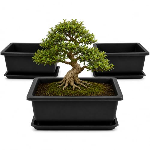 Plastic Bonsai Training Pots 3 Pack 9 Inch with Humidity Trays