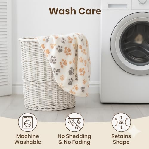 Quppa Orthopädisches Hundebett,Waschbar Hundekissen,Umkehrbar Weiche Warme Hundematte für kleine Hunde Katze Welpen,60 * 45CM Weiß