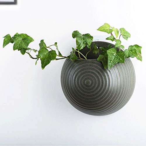 Cesta colgante de pared para flores de 18cm y macetero decorativo 4