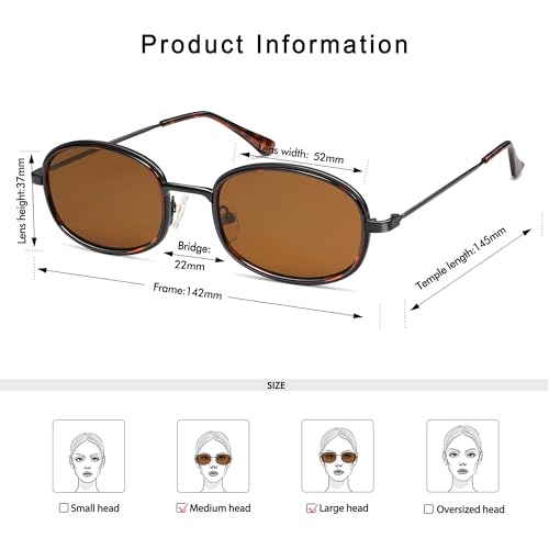 Retro Oval Sunglasses for Women Men Trendy Large Round Y2k Sunnies AP3681