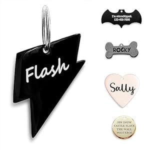 Adoginthehouse 010_Lightning Hundemarke