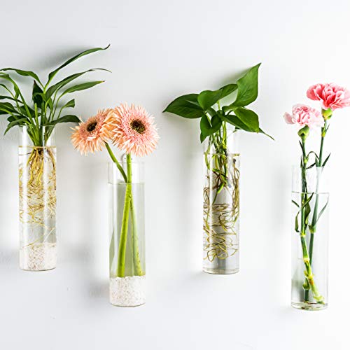 Kingbuy Wall-Mounted Plant Terrarium Propagation Station - 4 Cylinder Hanging Glass Tubes Planter for Hydroponic Plants, Indoor Wall Vases & Decorative Plant Holder Bathroom Office Living Room Decor - Image 6