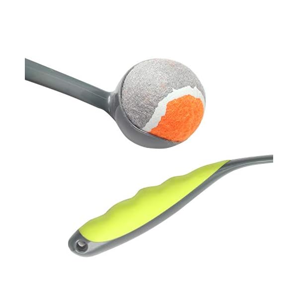 Dog Fetch Toy