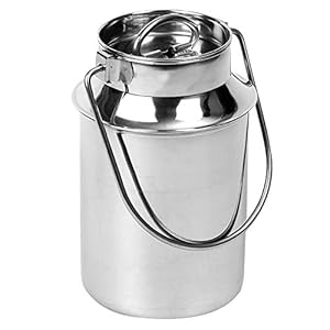 ORION GROUP Melkkan | 4,2L | roestvrij staal met steekdeksel en draagbeugel | transportkan