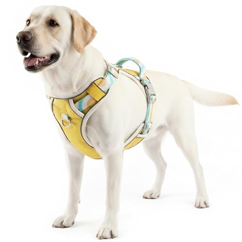 pangdi No-Pull Dog Harness with Back Clip | Escape-Proof Reflective Padded Vest | Adjustable Soft...