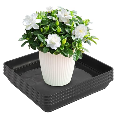 WANDGU 4 Stück Blumentopf Untersetzer: 30 x 30 cm Quadrat Pflanze Untersetzer, Blumenkübel Schale Kunststoff, Eckig Kunststoff Pflanzentopf, Pflanzentopf Zubehör für Outdoor Indoor Pflanzen (Schwarz)