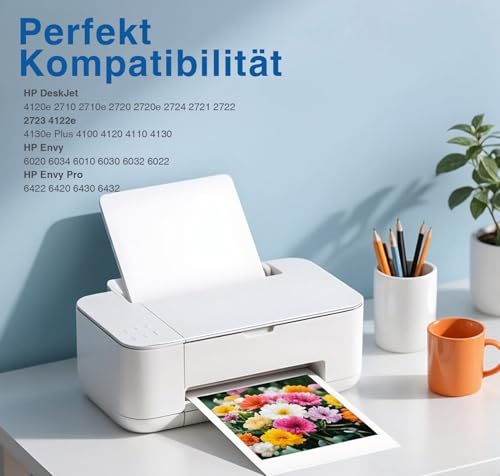 305 XL Patronen Ersatz für HP 305 Druckerpatronen XL Schwarz und farbig für HP DeskJet 2820E 4220E 2700 2720E 4120E 2720 2800E 4100 2710 Envy 6020E 6000 6032E 6420E 6010 6020 6400 6032 (2-Pack)