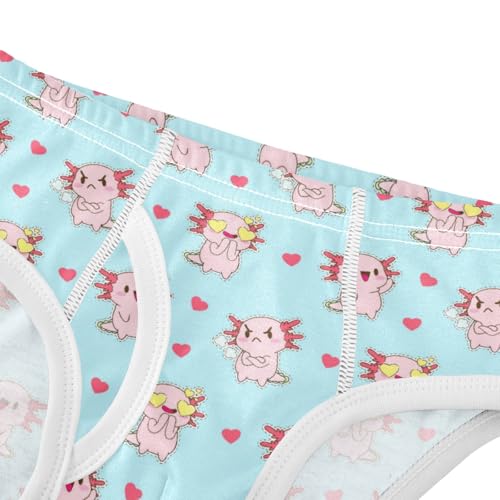 Boys' Exclusive Briefs Toddler Underwear 95% Combed Cotton Boxerbriefs 2T Piggy and Heart Pattern 24