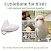 Acsist 12 Pcs Cuttlebone for Birds,Natural Cuttlefish Bone for Parakeets, Cuddle Bones for Sharp Beak, Premium Bird Calcium Stone for Parrots Budgie Cockatiel Snail Tortoise,3.7