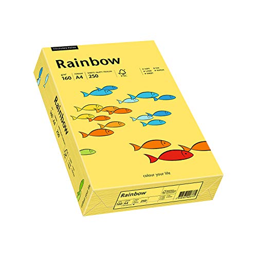 Papyrus 88042351 Drucker-/Kopierpapier farbig, Buntpapier: Rainbow 160 g/m², A4, 250 Blatt, matt, gelb