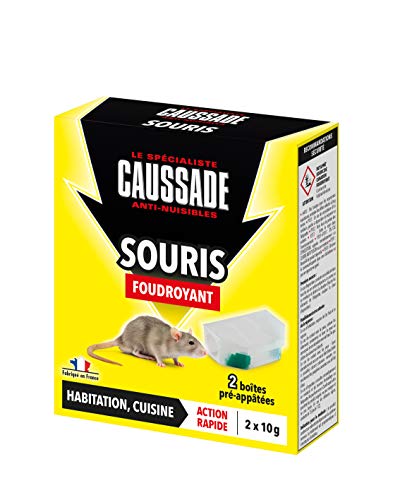 Caussade CASABOIT2 Souris - 2 boîtes pré-appâtées Foudroyant - prêt à poser - sécurité enfant| Cuisine et Habitation, Jaune