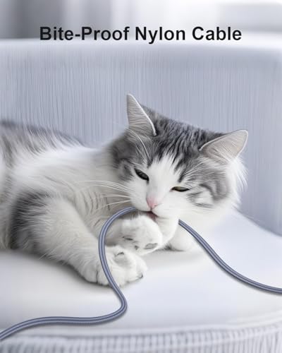 MORELECS Ethernet Cable 10ft - Nylon Braided Flat High Speed Cat 7 Internet Cable LAN Cable Shielded Fast and Stable Ethernet Cord for Home and Office