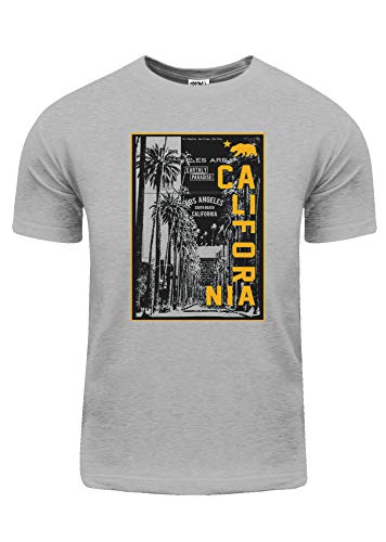 Fitscloth California Street Printed Graphic Cotton T Shirt FG15_05_L Grey