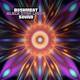 Bushmeat Sound System